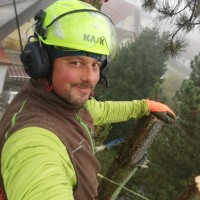 bamschneider bamschneider